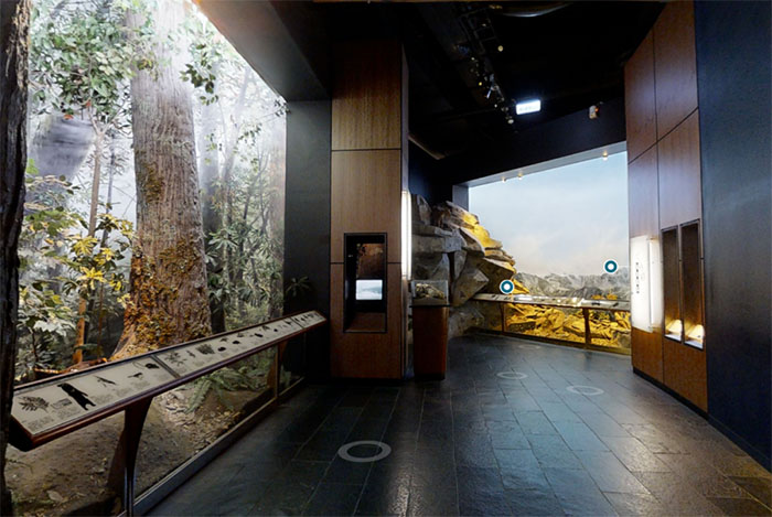 探秘台湾自然科学博物馆:一场知识与趣味交织的奇妙之旅(图15) 1 (15).jpg