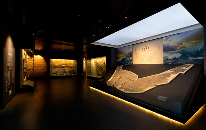 探秘贵州地质博物馆:穿越时空的地质奇观之旅(图3) 1 (3).jpg