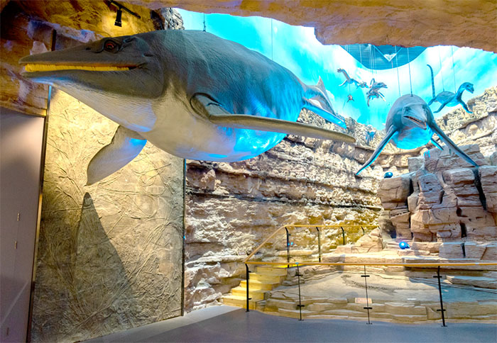 探秘贵州地质博物馆:穿越时空的地质奇观之旅(图4) 1 (4).jpg