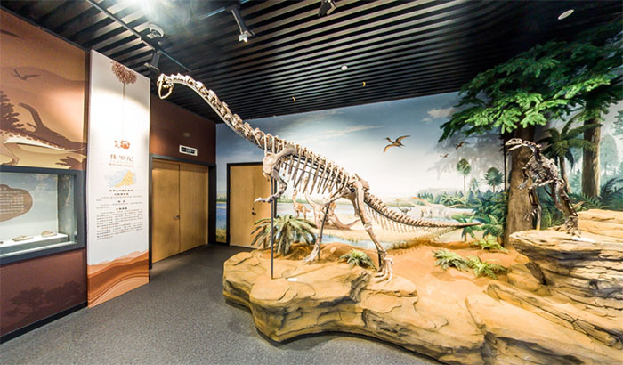 探秘贵州地质博物馆:穿越时空的地质奇观之旅(图5) 1 (5).jpg