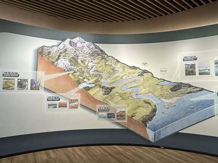 探秘中国湿地博物馆:开启自然与知识的奇妙之旅(图3) 1 (3).jpg