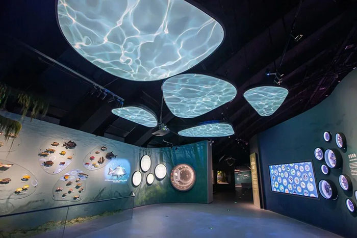 探秘中国湿地博物馆:开启自然与知识的奇妙之旅(图5) 1 (5).jpg