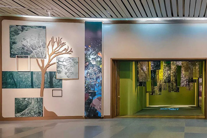 跨越2644公里,探秘婆罗洲的自然密码(图1) 1 (1).jpg