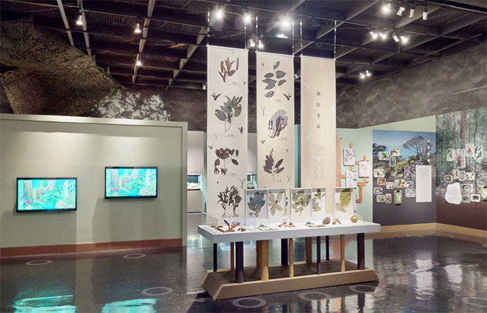 跨越2644公里,探秘婆罗洲的自然密码(图3) 1 (3).jpg