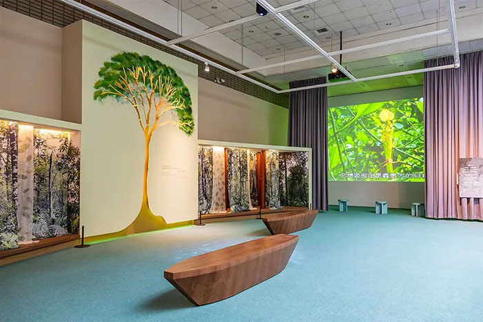 跨越2644公里,探秘婆罗洲的自然密码(图5) 1 (5).jpg