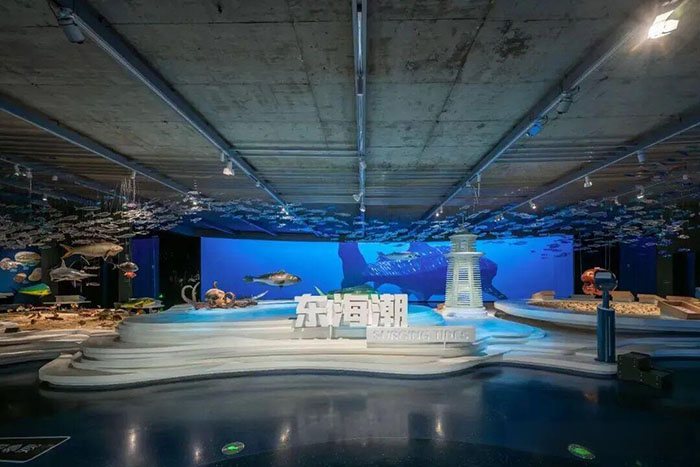 探秘玉环博物馆:解锁千年海韵文化密码(图6) 6.jpg