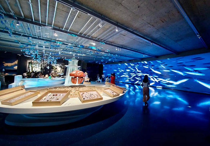 探秘玉环博物馆:解锁千年海韵文化密码(图7) 7.jpg