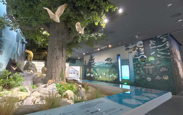 秦岭博物馆 (6).jpg
