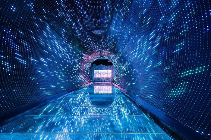 正佳自然科学博物馆 (1).jpg