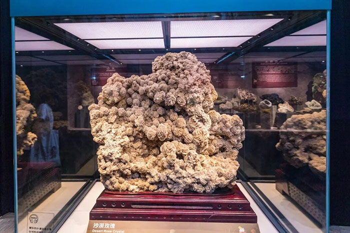 正佳自然科学博物馆 (3).jpg