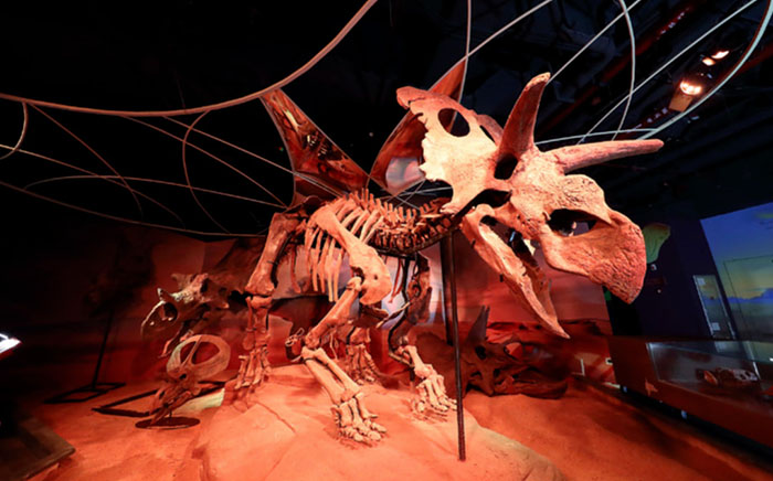 正佳自然科学博物馆 (5).jpg