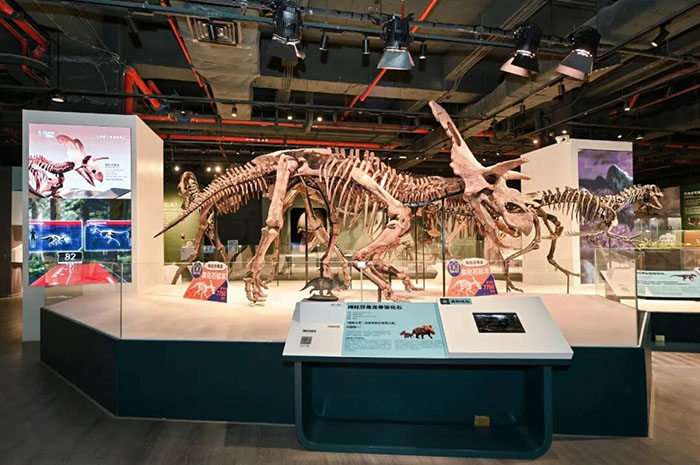 正佳自然科学博物馆 (7).jpg