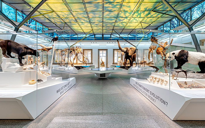 穿越亿万年生命史诗:德国斯图加特国立自然博物馆全览(图1) 德国自然博物馆 (1).jpg