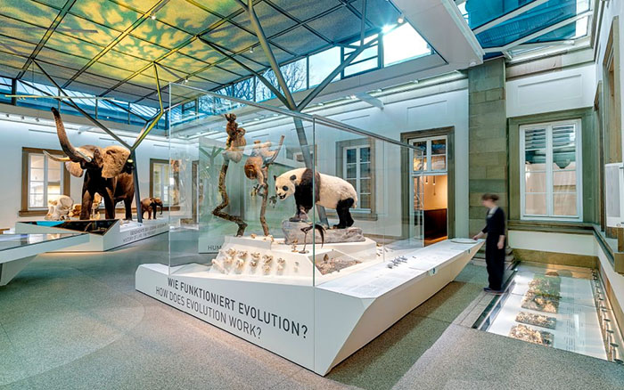 穿越亿万年生命史诗:德国斯图加特国立自然博物馆全览(图2) 德国自然博物馆 (2).jpg