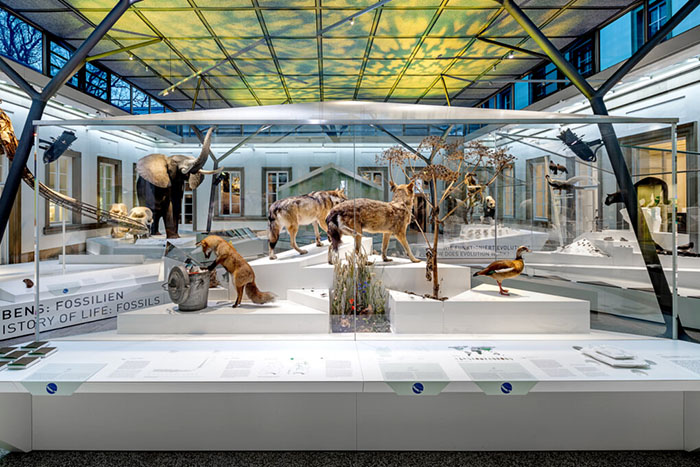 穿越亿万年生命史诗:德国斯图加特国立自然博物馆全览(图4) 德国自然博物馆 (4).jpg