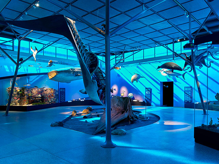 穿越亿万年生命史诗:德国斯图加特国立自然博物馆全览(图10) 德国自然博物馆 (10).jpg