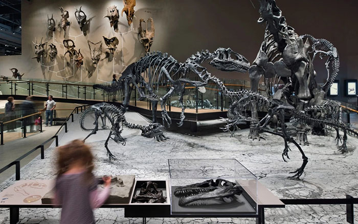 亿年山河,万古生灵 —— 美国犹他州自然历史博物馆全览(图6) 犹他州自然历史博物馆 (6).jpg