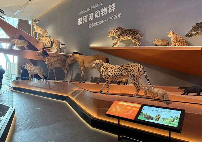 泥河湾遗址博物馆 (5).jpg