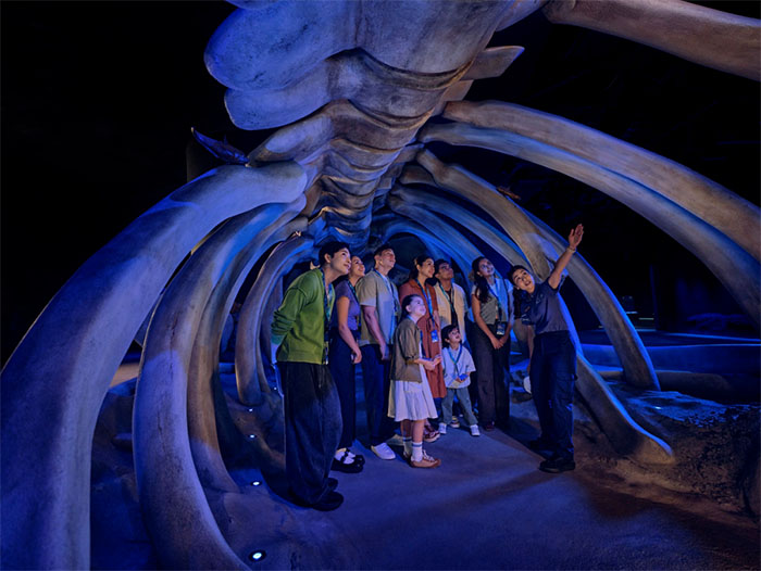 蔚蓝秘境,共生共生——新加坡S.E.A.海洋馆全景解读(图5) 新加坡s.e.a.海洋馆 (5).jpg