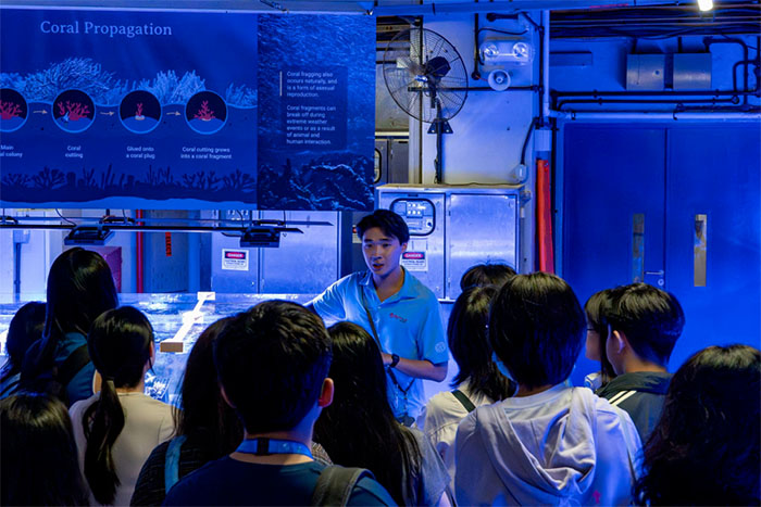 蔚蓝秘境,共生共生——新加坡S.E.A.海洋馆全景解读(图6) 新加坡s.e.a.海洋馆 (6).jpg