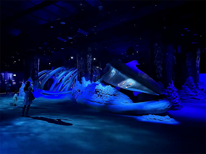 蔚蓝秘境,共生共生——新加坡S.E.A.海洋馆全景解读(图7) 新加坡s.e.a.海洋馆 (7).jpg