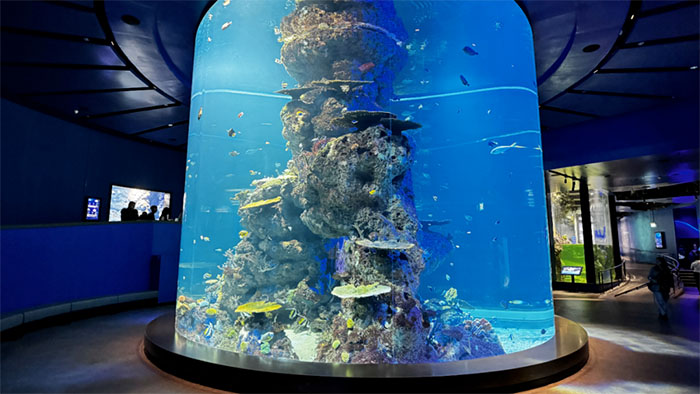 蔚蓝秘境,共生共生——新加坡S.E.A.海洋馆全景解读(图9) 新加坡s.e.a.海洋馆 (9).jpg