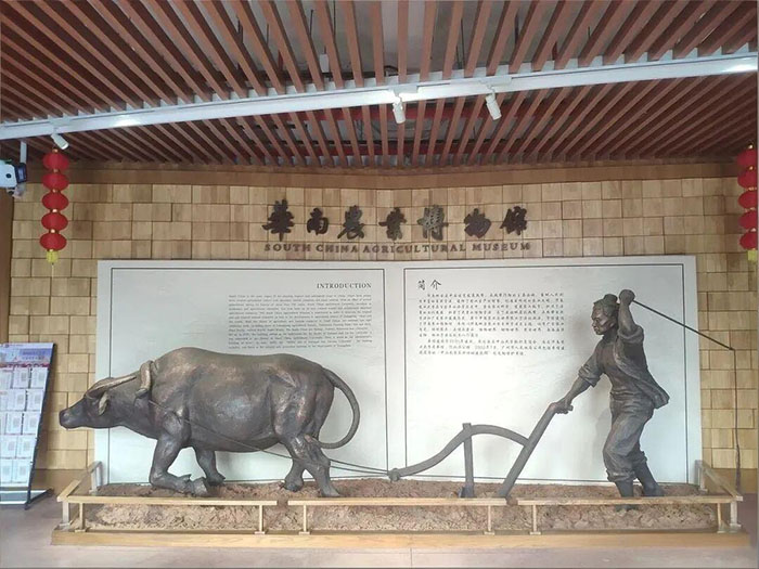 华南农业博物馆 (2).jpg