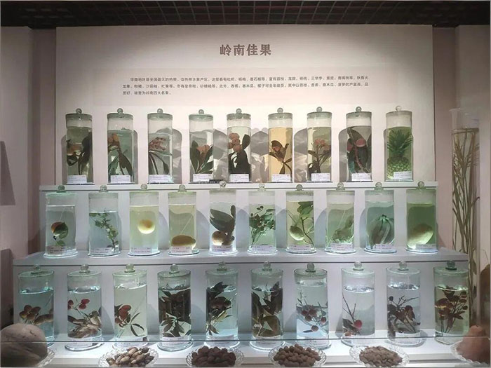 华南农业博物馆 (5).jpg