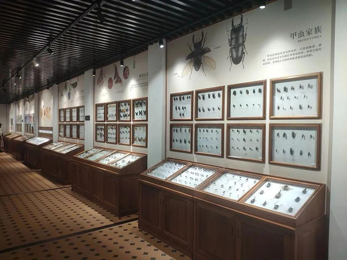 华南农业博物馆 (8).jpg